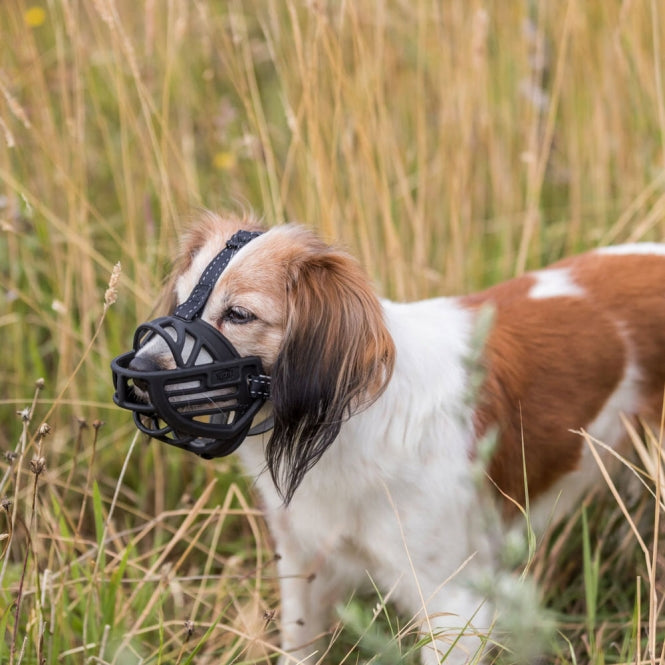 Trixie Maulkorb Muzzle Flex, Gummi