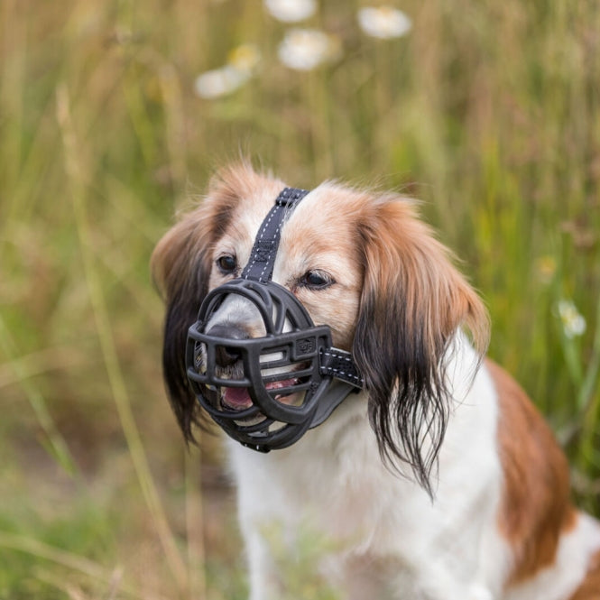 Trixie Maulkorb Muzzle Flex, Gummi